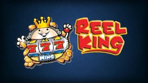 Fortune King Spinning Machine-截图3