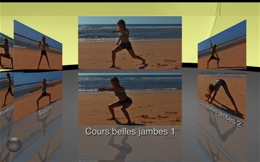 Legs Workout截图5