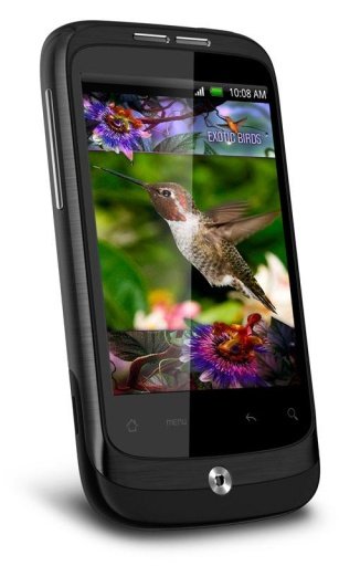 Colibri Africa Live Wallpaper截图4