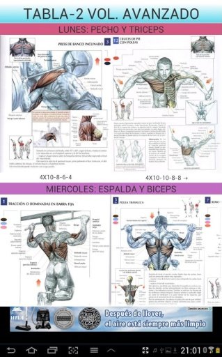 Gym Sport -ejercicios gimnasio截图1