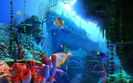 Coral Reef live wallpaper截图1