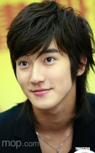 Choi Siwon Games 최시원截图1