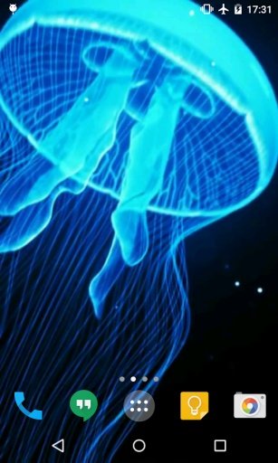 Jellyfish Live Wallpaper截图3