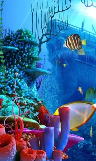 Coral Reef live wallpaper截图4