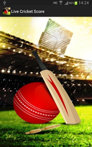 Live Cricket Updates截图1