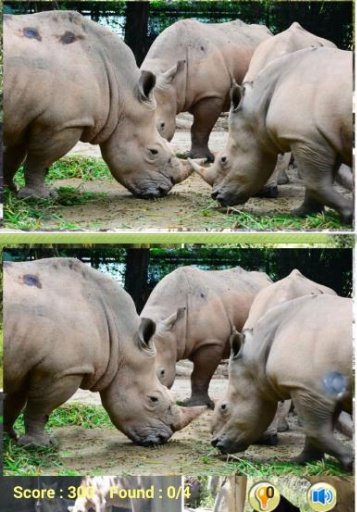 Zoo Find Difference截图2
