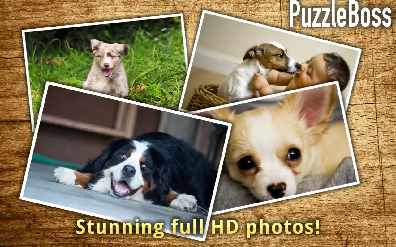 Dog Jigsaw Puzzles FREE截图7