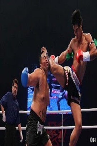 Boxing Fight HD Game截图1