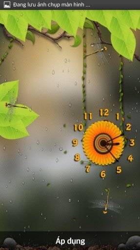 Rain Clock Flower Wallpaper截图3