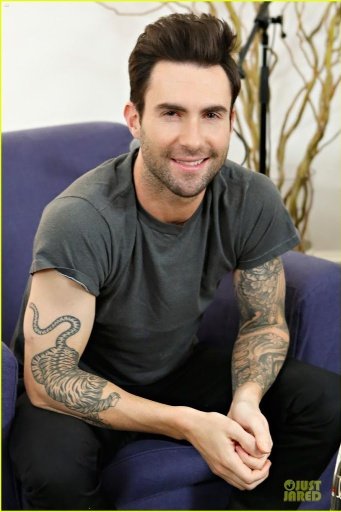 Adam Levine Wallpaper截图6