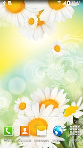 Daisies Live Wallpaper截图8