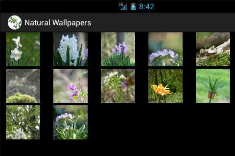 Wallpapers Natural - plants截图4