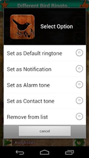 Bird Sounds Ringtones截图6