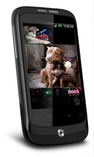 Pet Dogs HD Live Wallpaper截图2