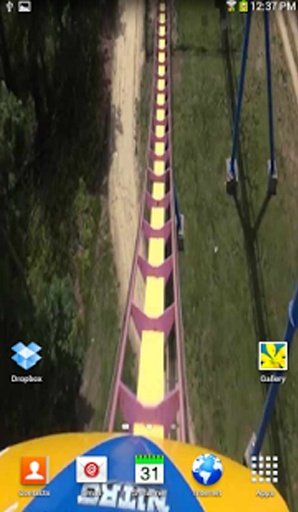 Real POV Roller Coaster截图6