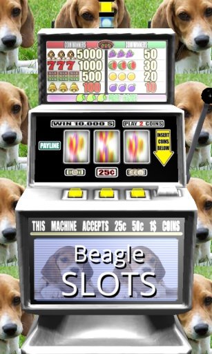 3D Beagle Slots - Free截图1