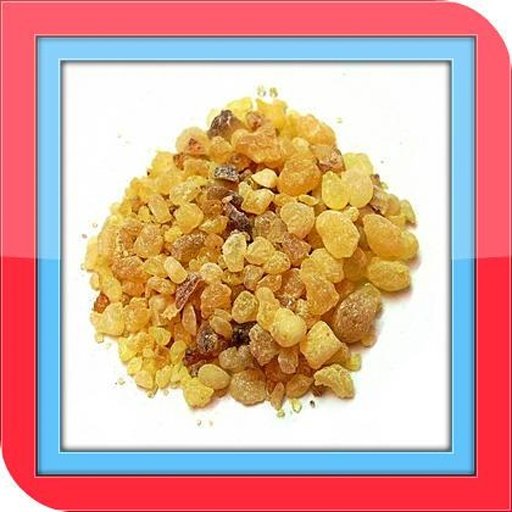 Frankincense Essential Oil截图1