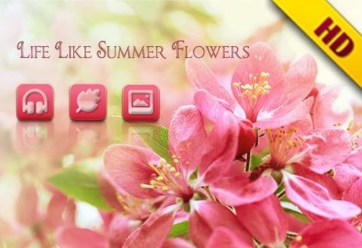 Solo Summer Flowers Theme截图5