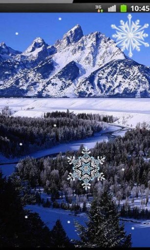 Winter Nature Live Wallpaper截图6