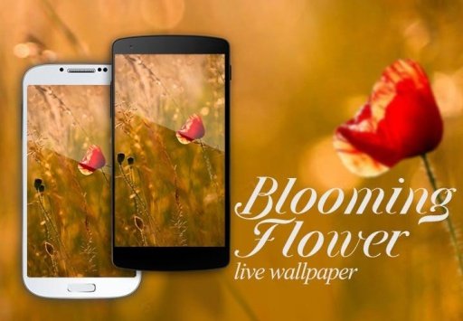 Blooming Flower截图3