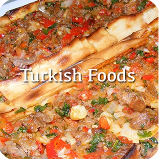 TURKEY FOODS HOW TO COOKs截图1