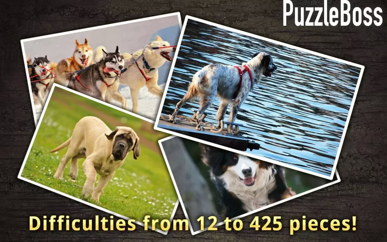 Dog Jigsaw Puzzles FREE截图2