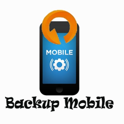 Backup Mobile截图4
