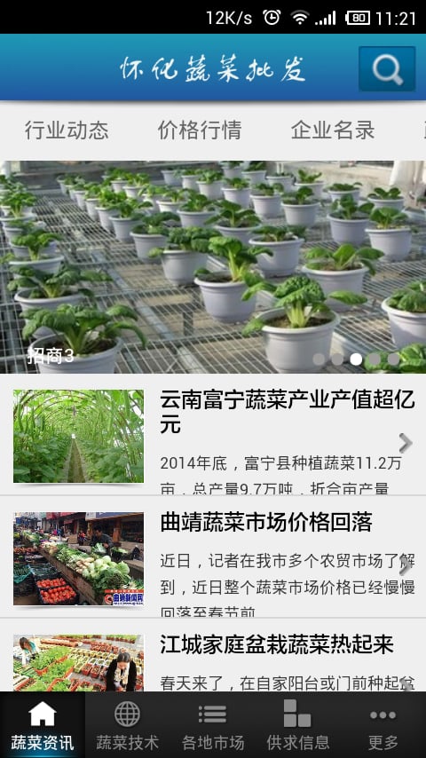 怀化蔬菜批发截图3