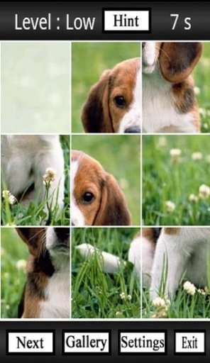 Cute Dogs Jigsaw Puzzles截图5