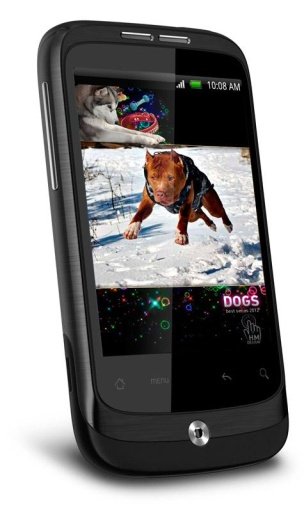 Pet Dogs HD Live Wallpaper截图1