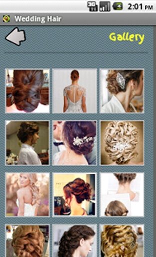 Wedding Hairstyles截图6