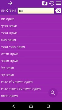 希伯来语英语词典截图