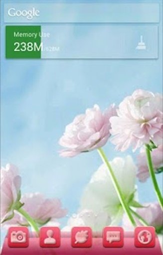 Solo Summer Flowers Theme截图1