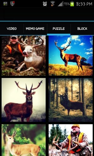 Deer Hungry Hunter 2014截图1