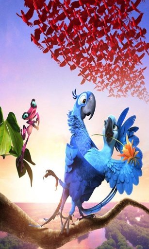 Bird Rio Wallpaper截图1