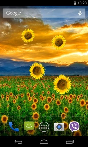 Sunflower Live Wallpaper截图2