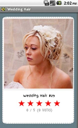 Wedding Hairstyles截图2