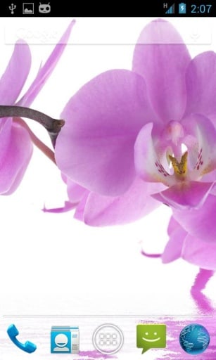 Orchids In Water V截图4