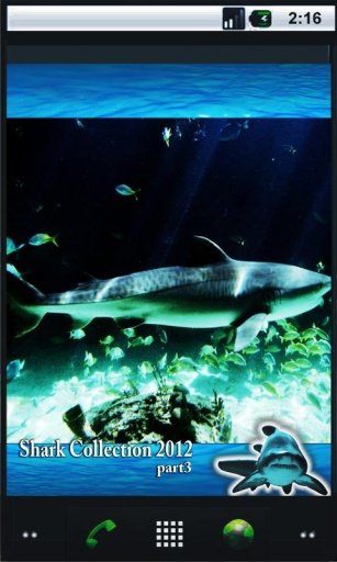 Shark Best HD Live Wallpaper截图2