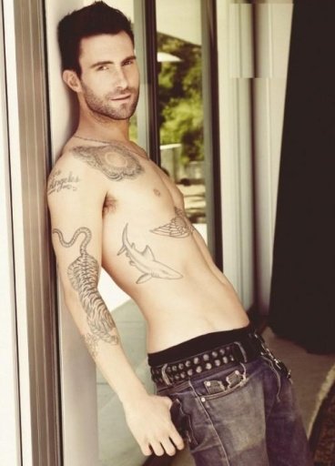 Adam Levine Wallpaper截图3