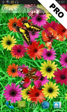 Butterflies LITE Wallpaper截图