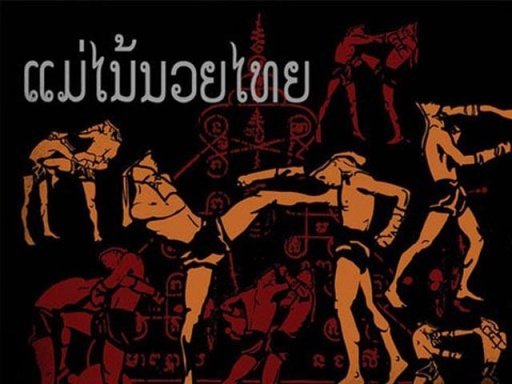 Muay Thai Wallpapers截图1