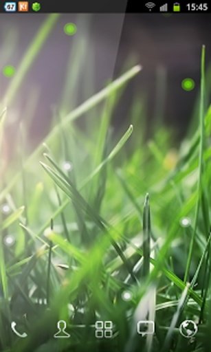 Soft Grass Wallpaper截图6