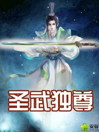 圣武独尊截图1