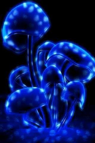 Mushroom Light effect Live Wallpaper截图1