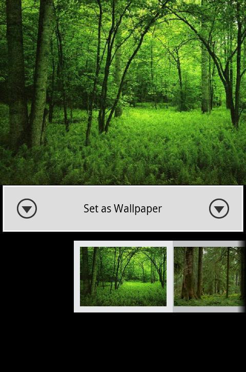 Nature Wallpaper 7截图2