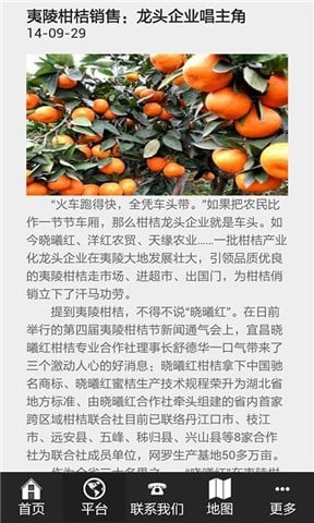 中国柑橘电商城截图1