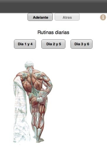 Sistema de Musculaci&oacute;n截图2