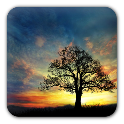 Sunset Hill Free LiveWallpaper截图1