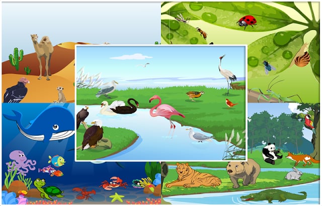 Animal Sound - Game For Kids截图7